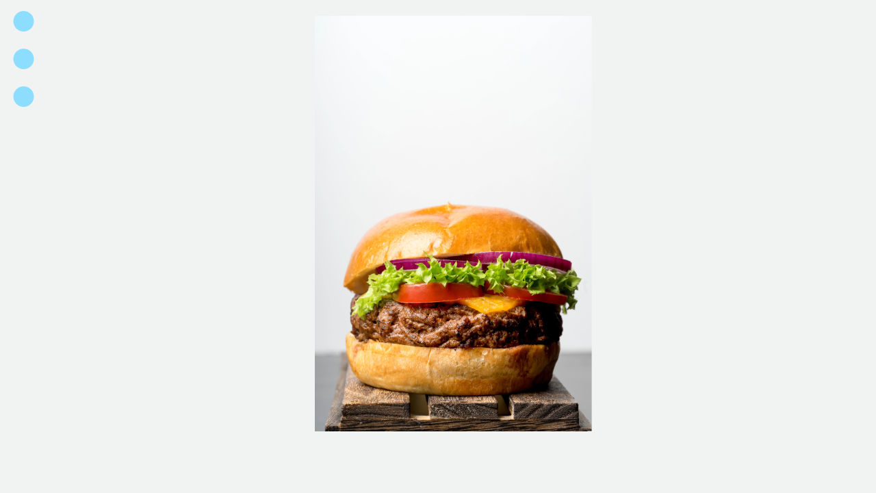 a Hamburger with cheese 